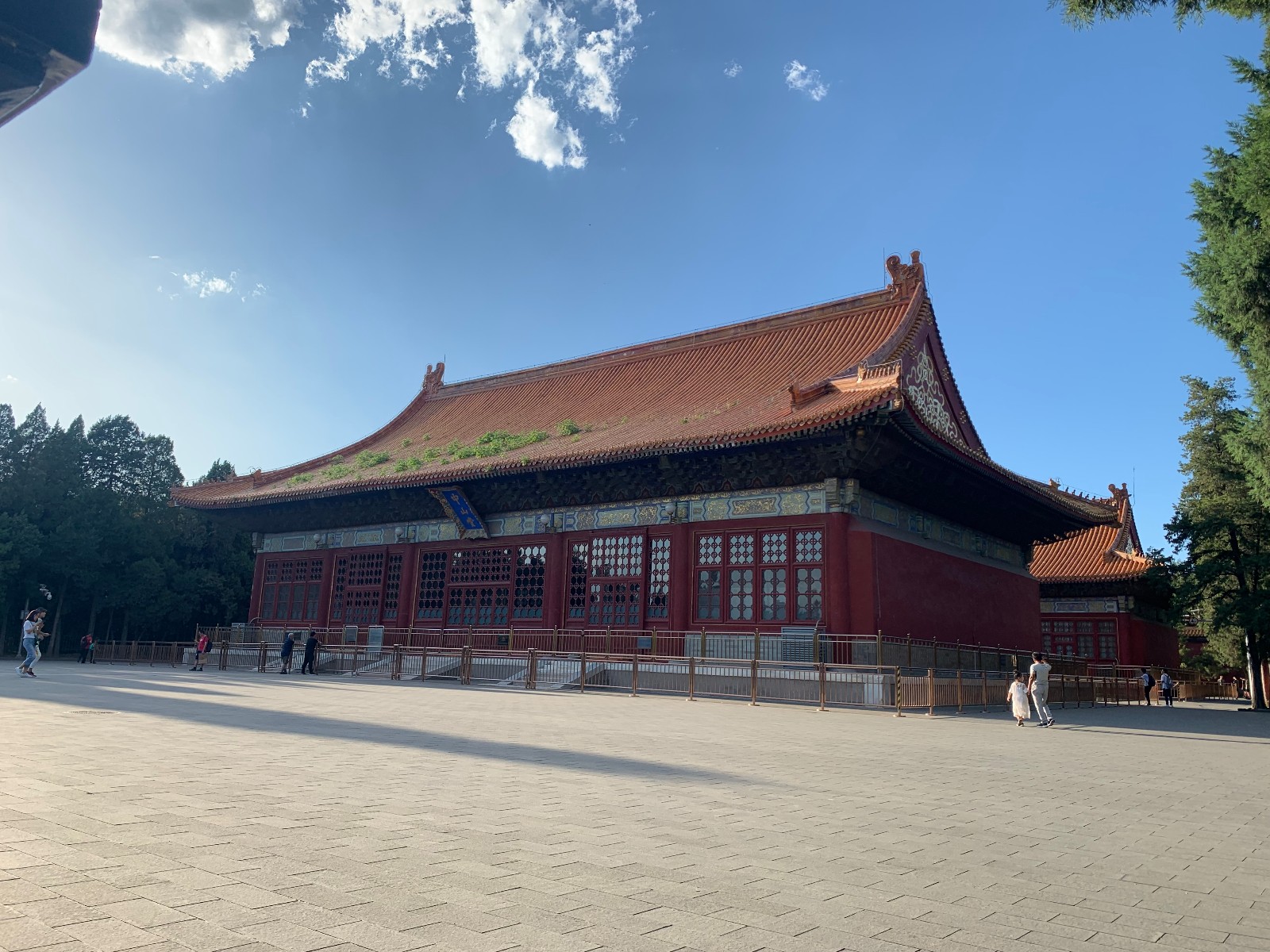 IMG_6495.JPG IMG_6495.JPG